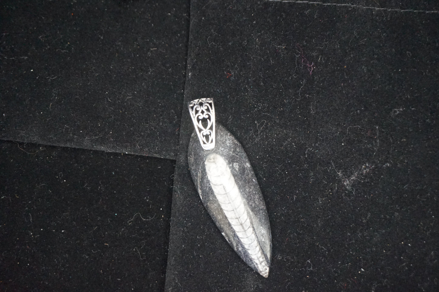 Orthoceras Fossil Pendant